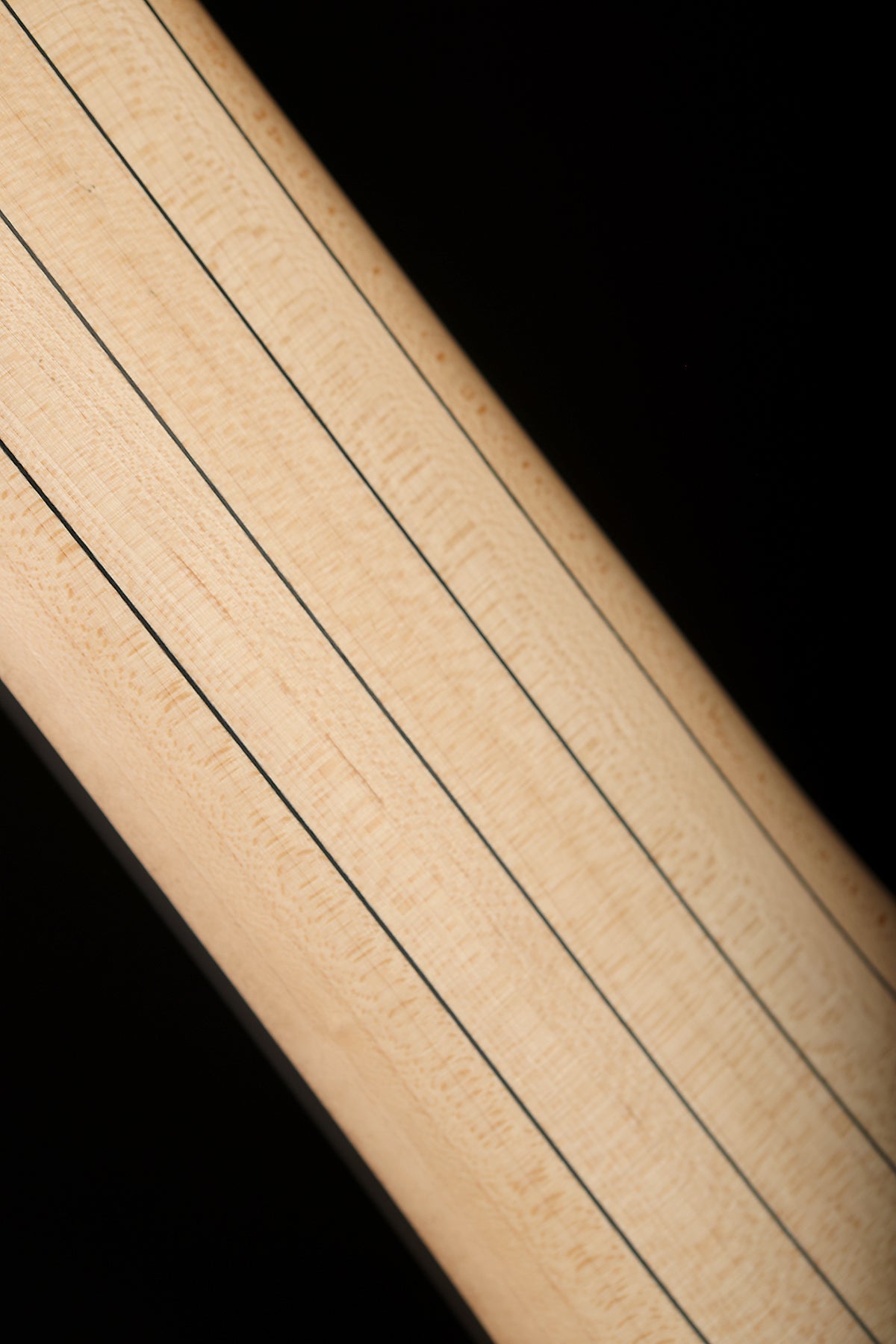 Warwick Rockbass Corvette 6 Fretless