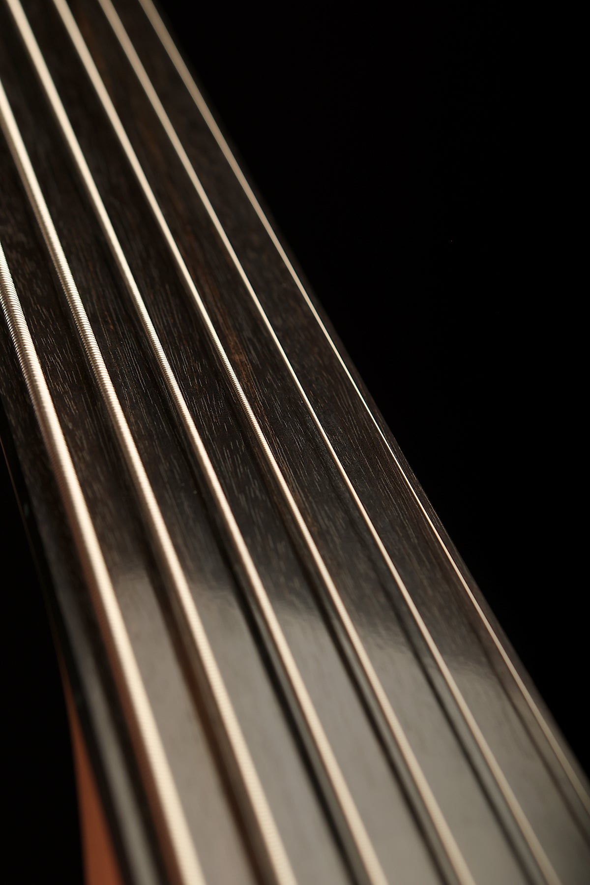 Warwick Rockbass Corvette 6 Fretless