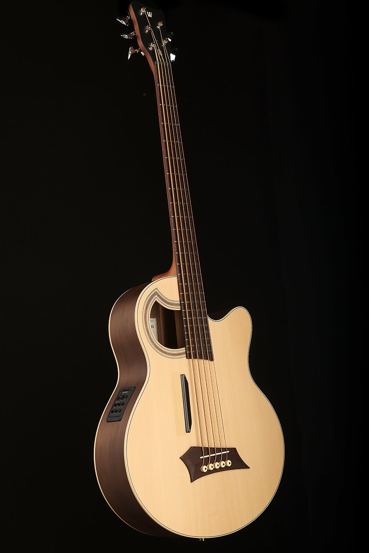 Warwick Rockbass Alien 5 Deluxe