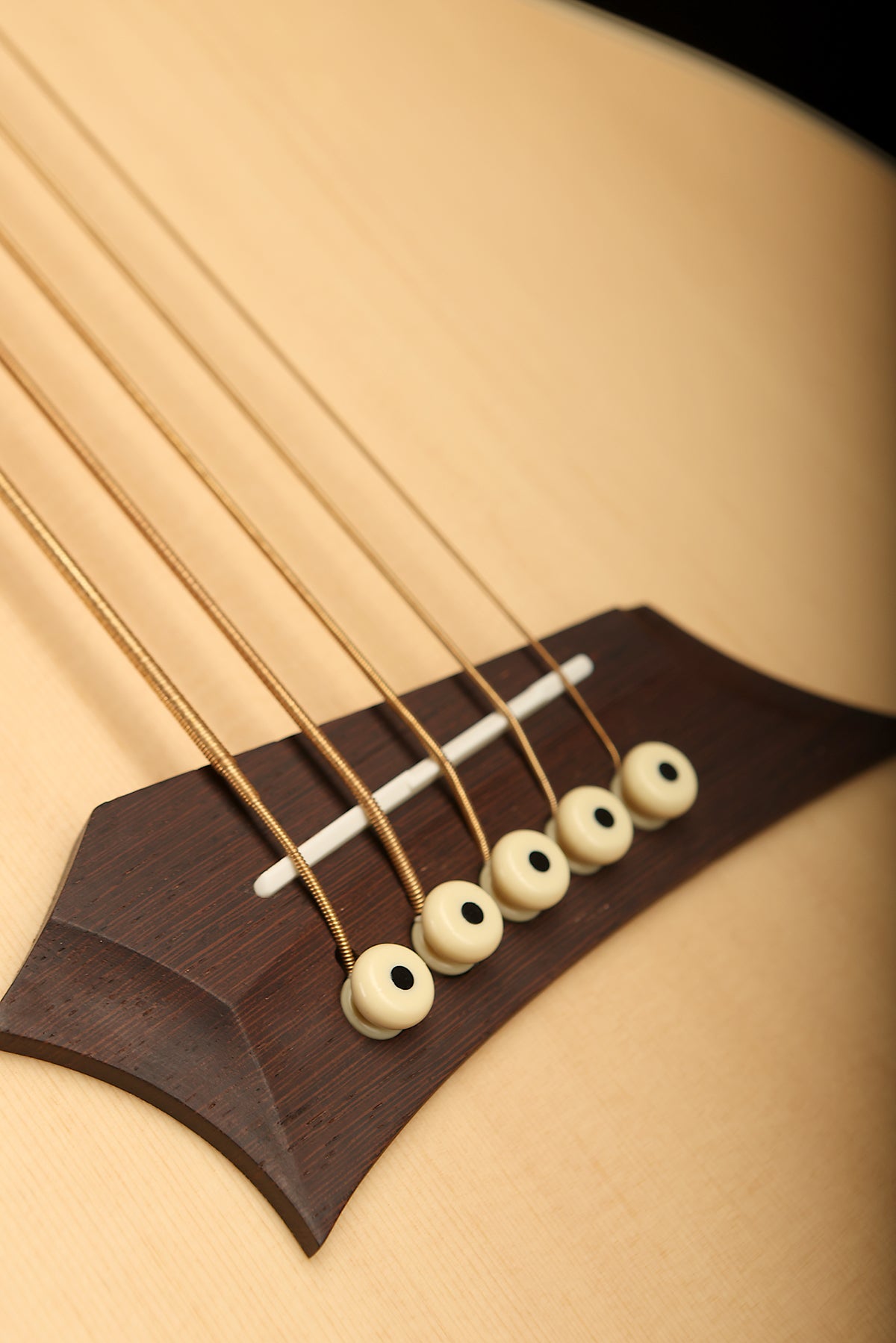 Warwick Rockbass Alien 5 Deluxe