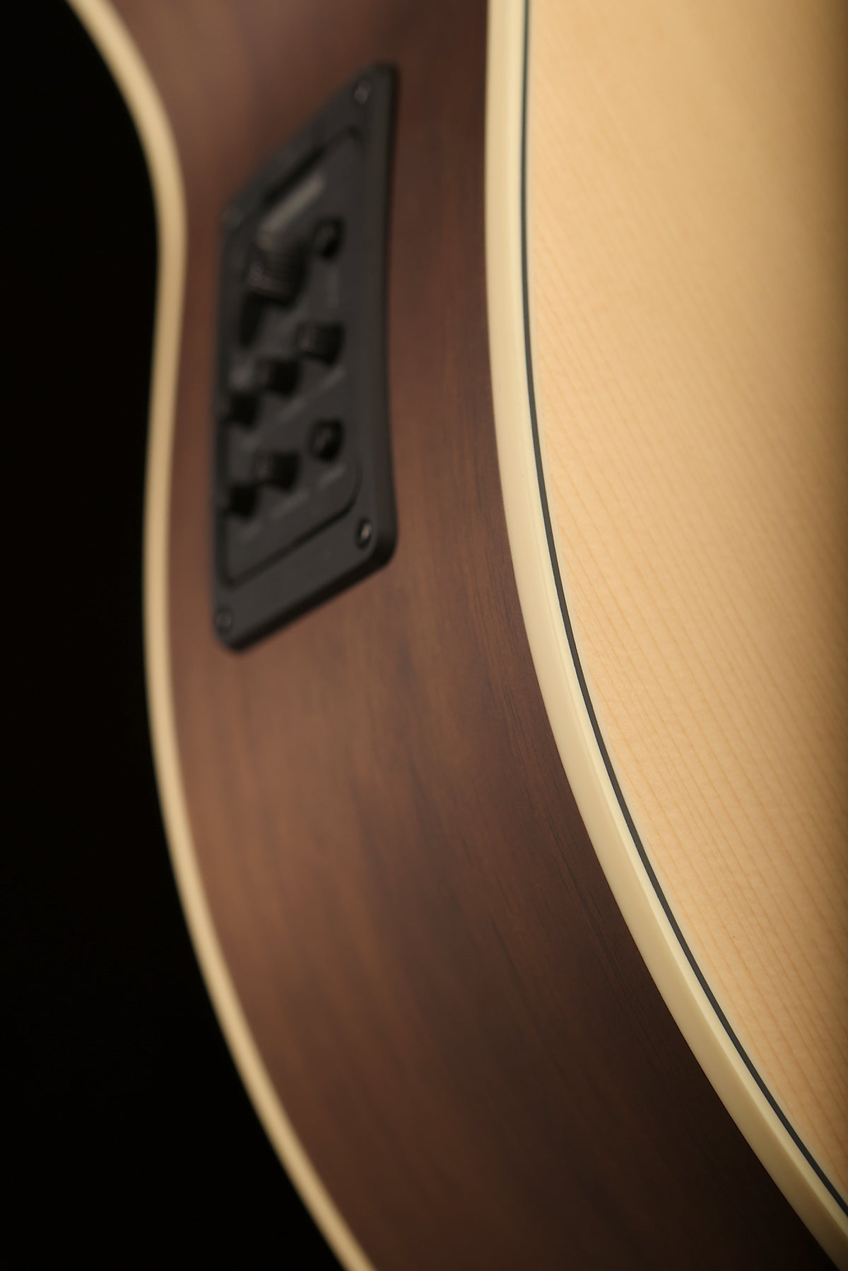 Warwick Rockbass Alien 5 Deluxe