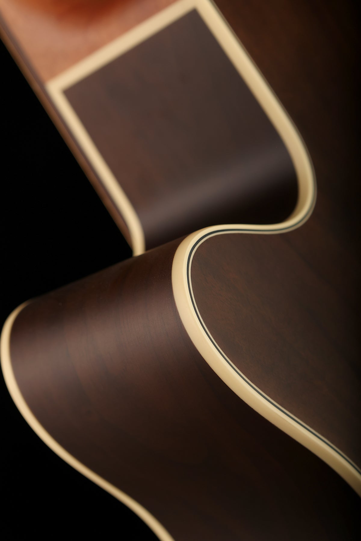 Warwick Rockbass Alien 5 Deluxe