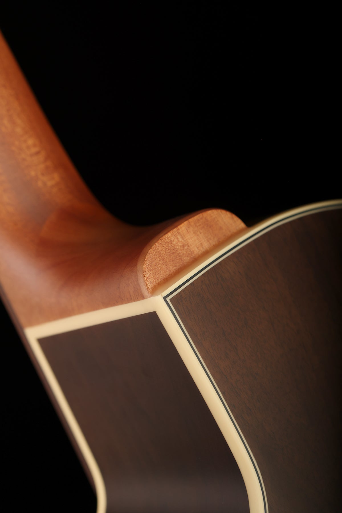 Warwick Rockbass Alien 5 Deluxe