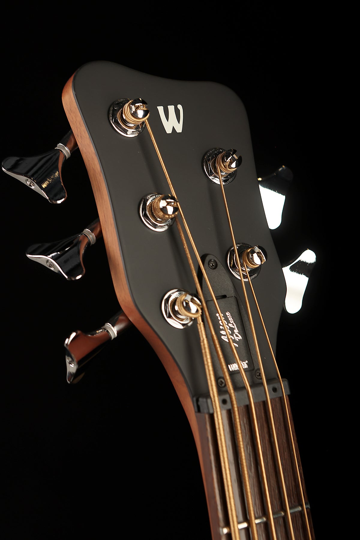 Warwick Rockbass Alien 5 Deluxe