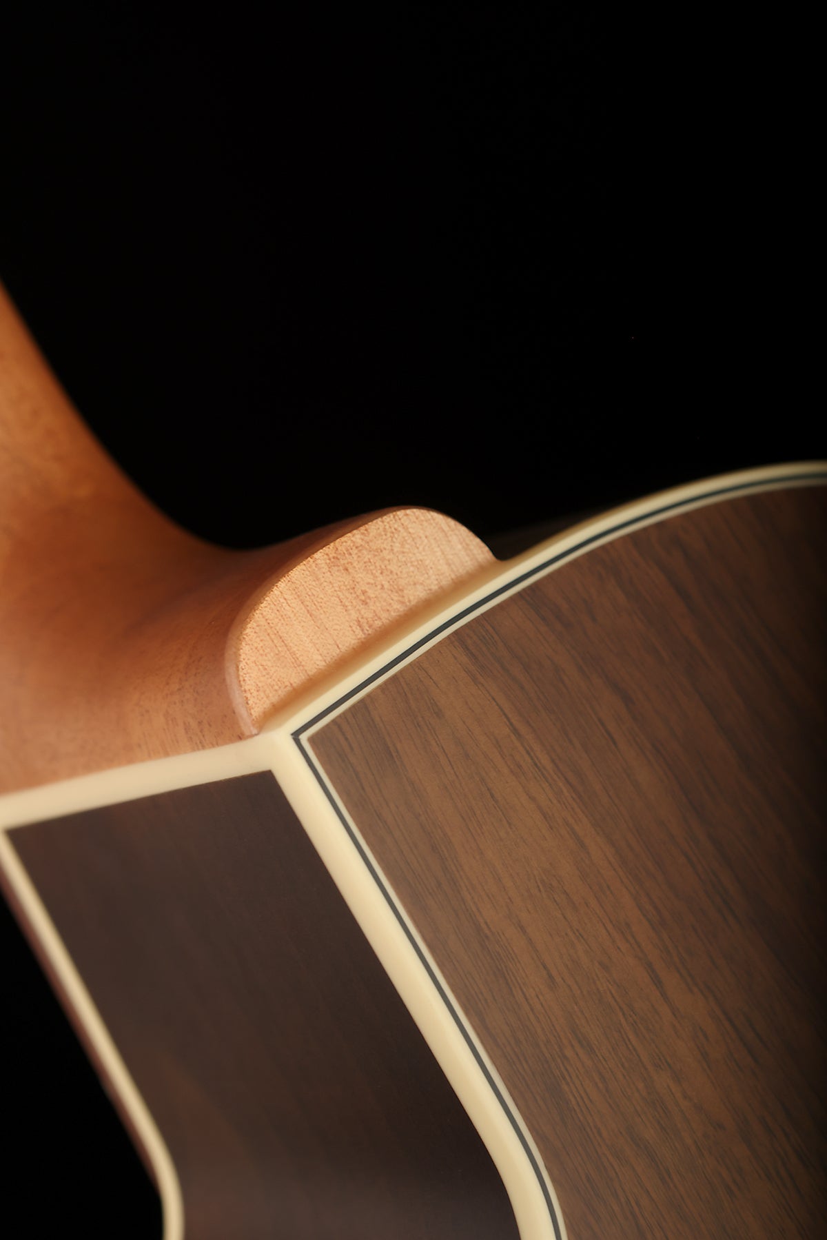 Warwick Rockbass Alien 4 Deluxe