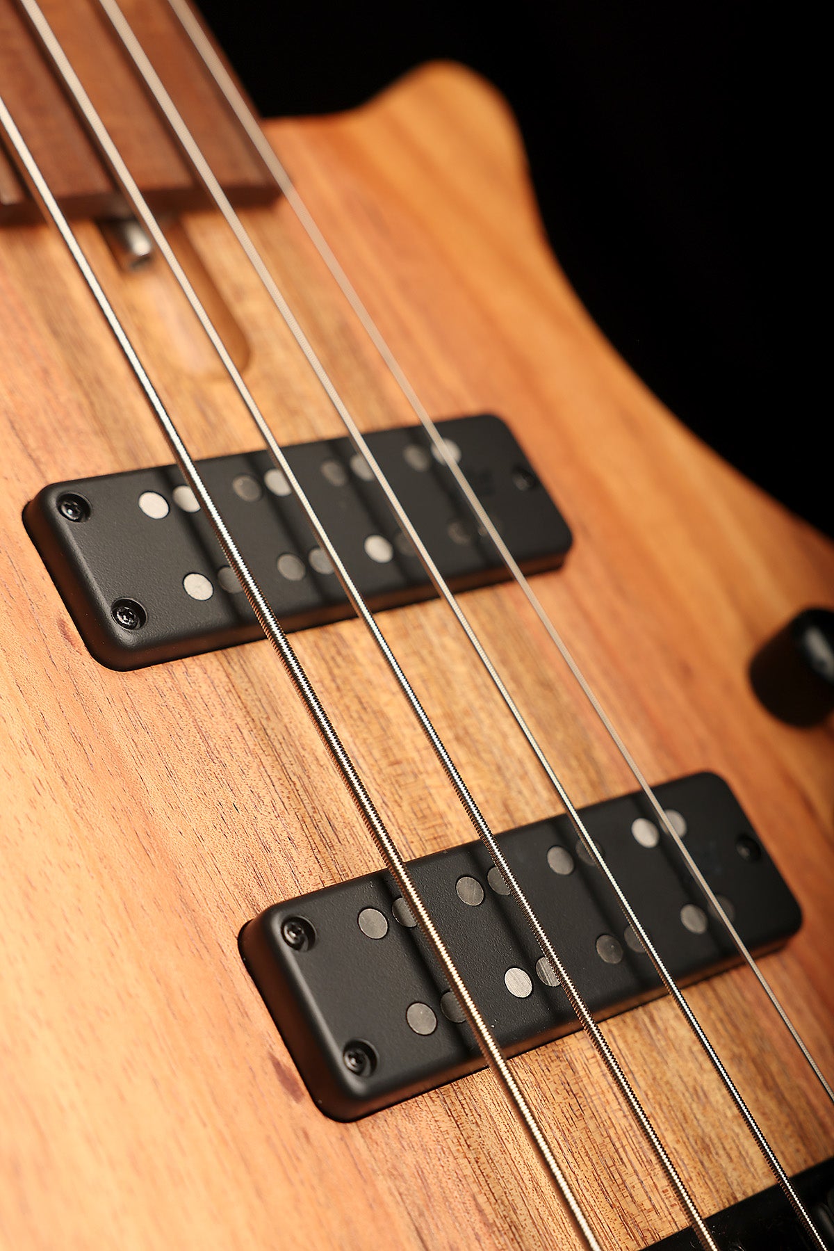 Cole Clark Kennedy LLB4 Blackwood Fretless - Bass Centre Music Store Melbourne