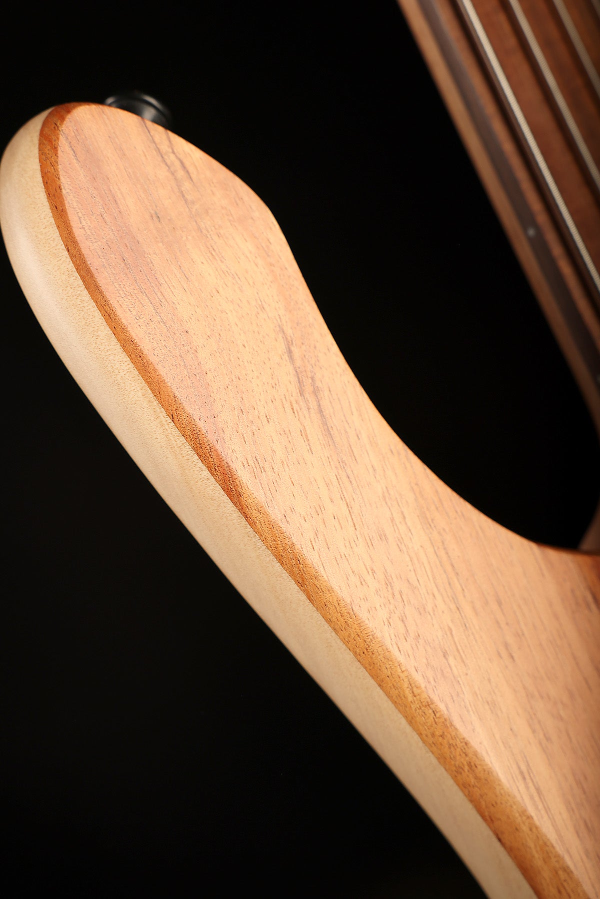 Cole Clark Kennedy LLB4 Blackwood Fretless - Bass Centre Music Store Melbourne