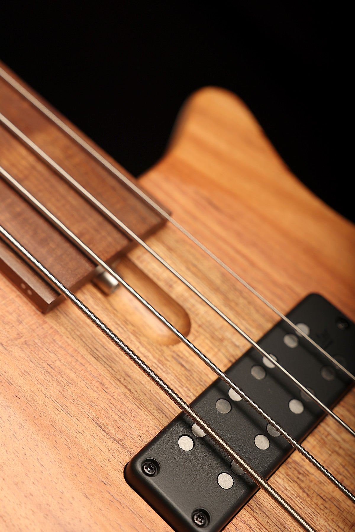 Cole Clark Kennedy LLB4 Blackwood Fretless - Bass Centre Music Store Melbourne