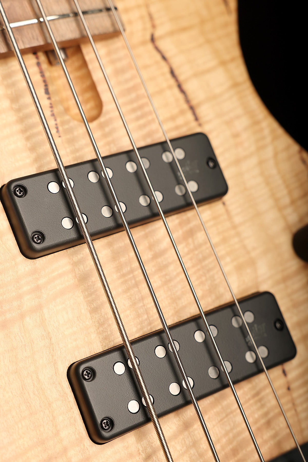 Cole Clark LLB4 Flamed Mountain Ash - Bass Centre Music Store Melbourne