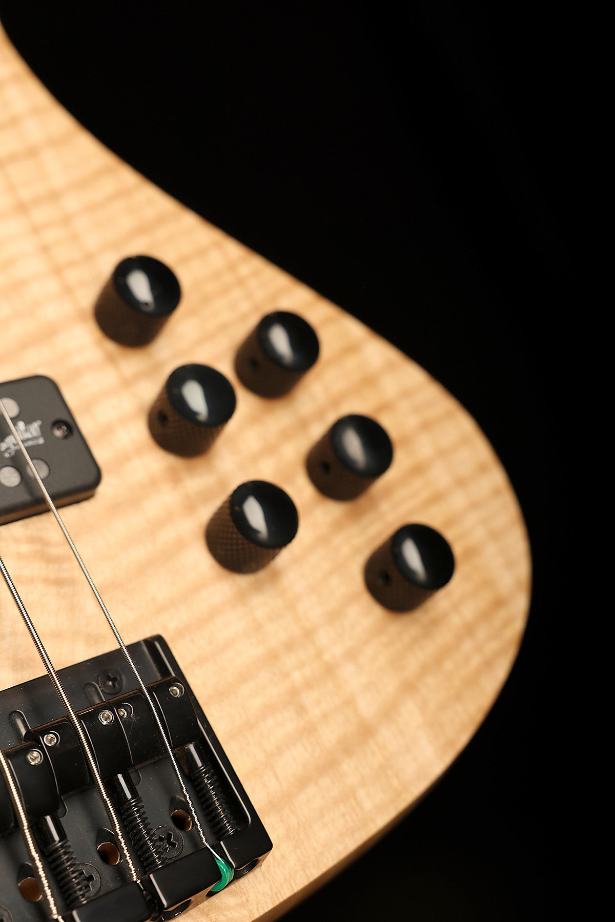 Cole Clark LL B5 Mountain Ash/Gidgee Fretless