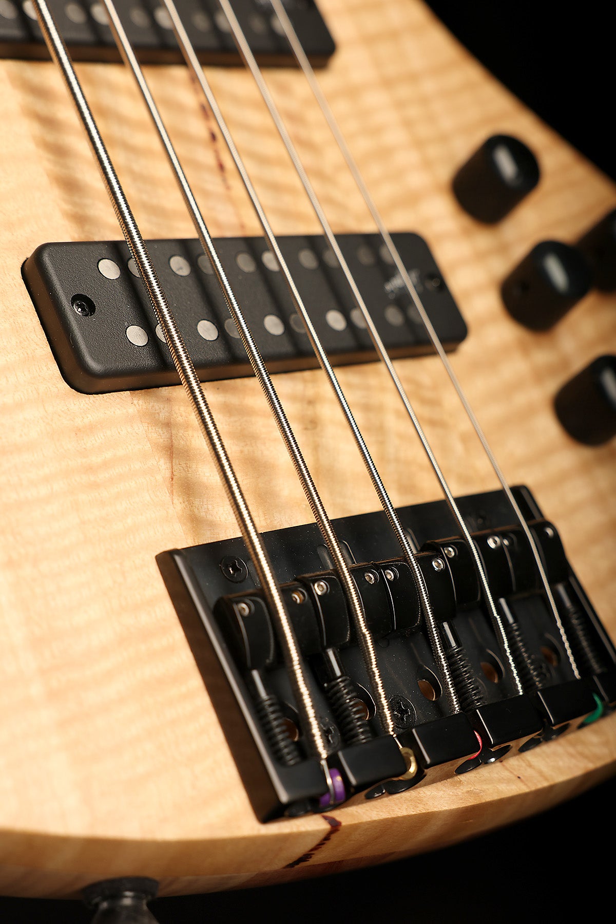 Cole Clark LL B5 Mountain Ash/Gidgee Fretless