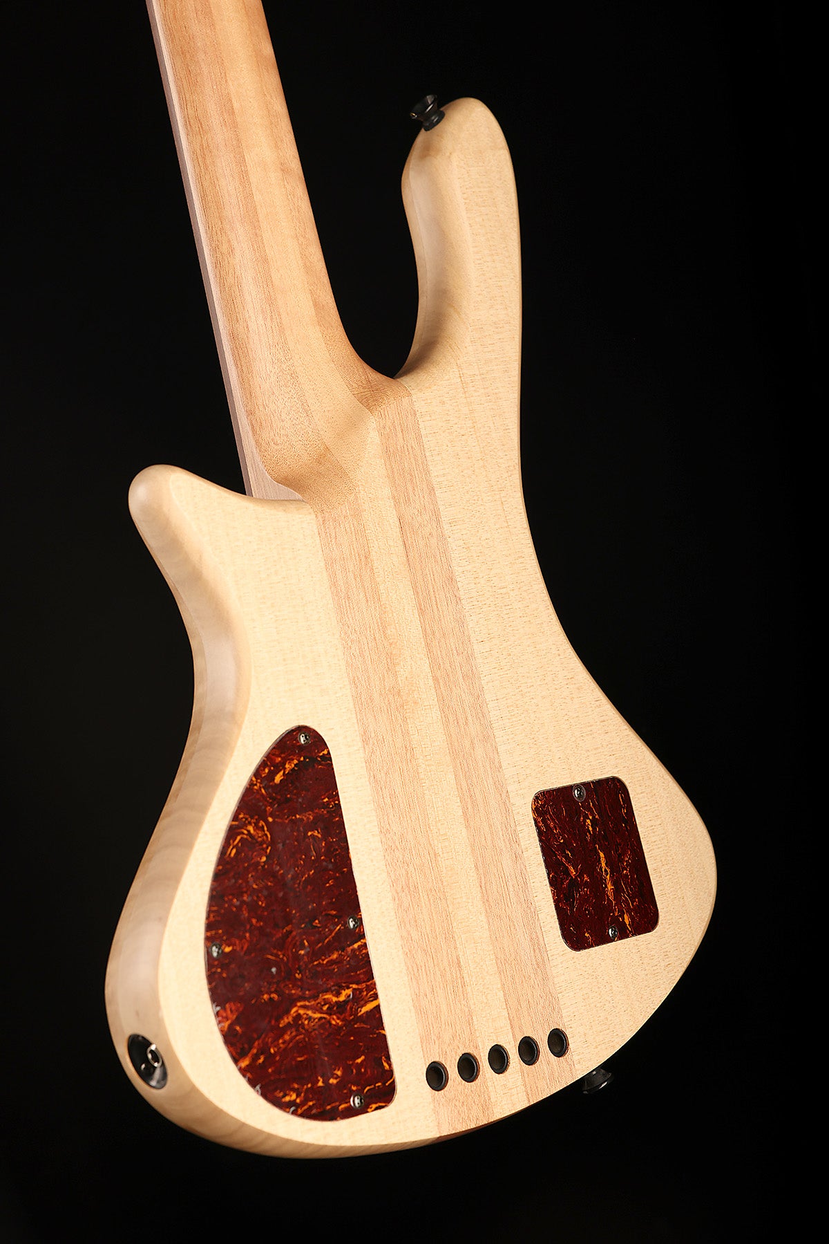 Cole Clark LL B5 Mountain Ash/Gidgee Fretless