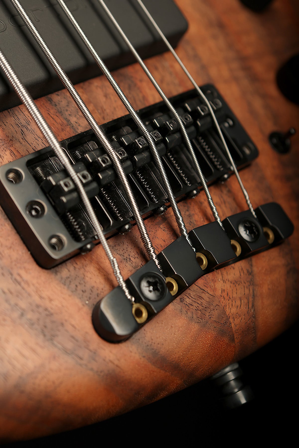 Warwick Teambuilt Thumb 5 BO Limited Edition - Bass Centre Music Store Melbourne