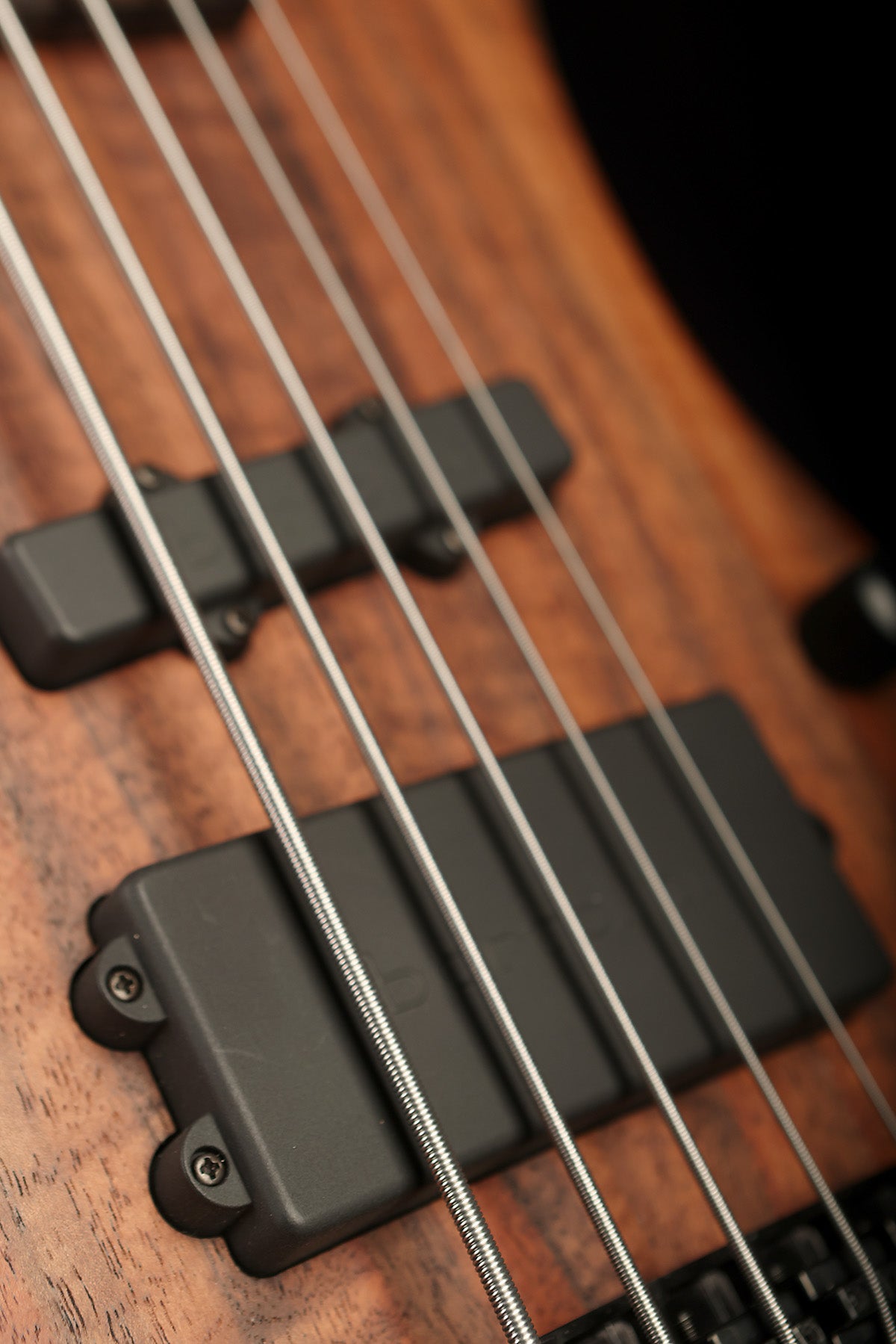 Warwick Teambuilt Thumb 5 BO Limited Edition - Bass Centre Music Store Melbourne