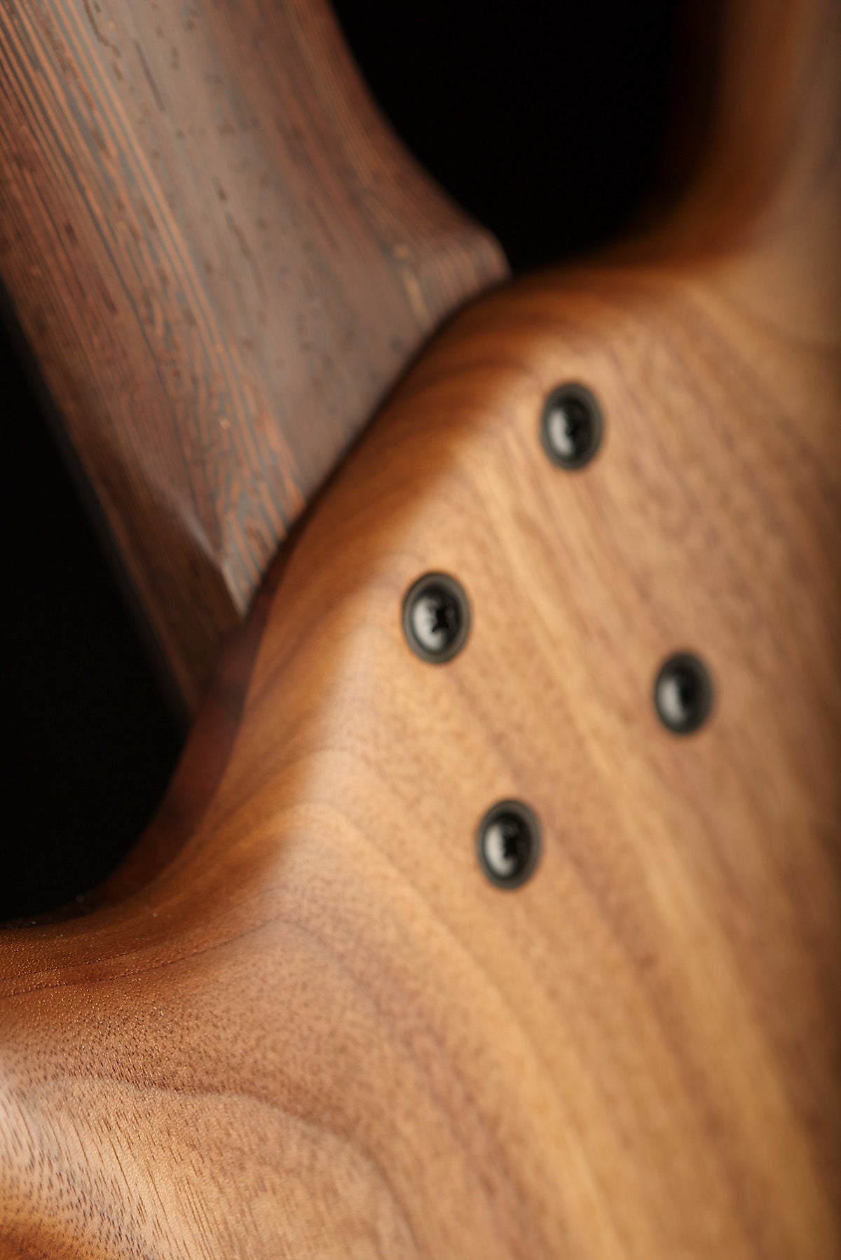 Warwick Teambuilt Thumb 5 BO Limited Edition - Bass Centre Music Store Melbourne