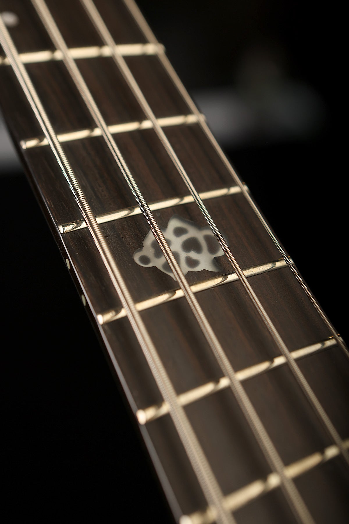 Spector NS Dimension HP 4 Bass Multi Scale Clearance - Bass Centre Music Store Melbourne