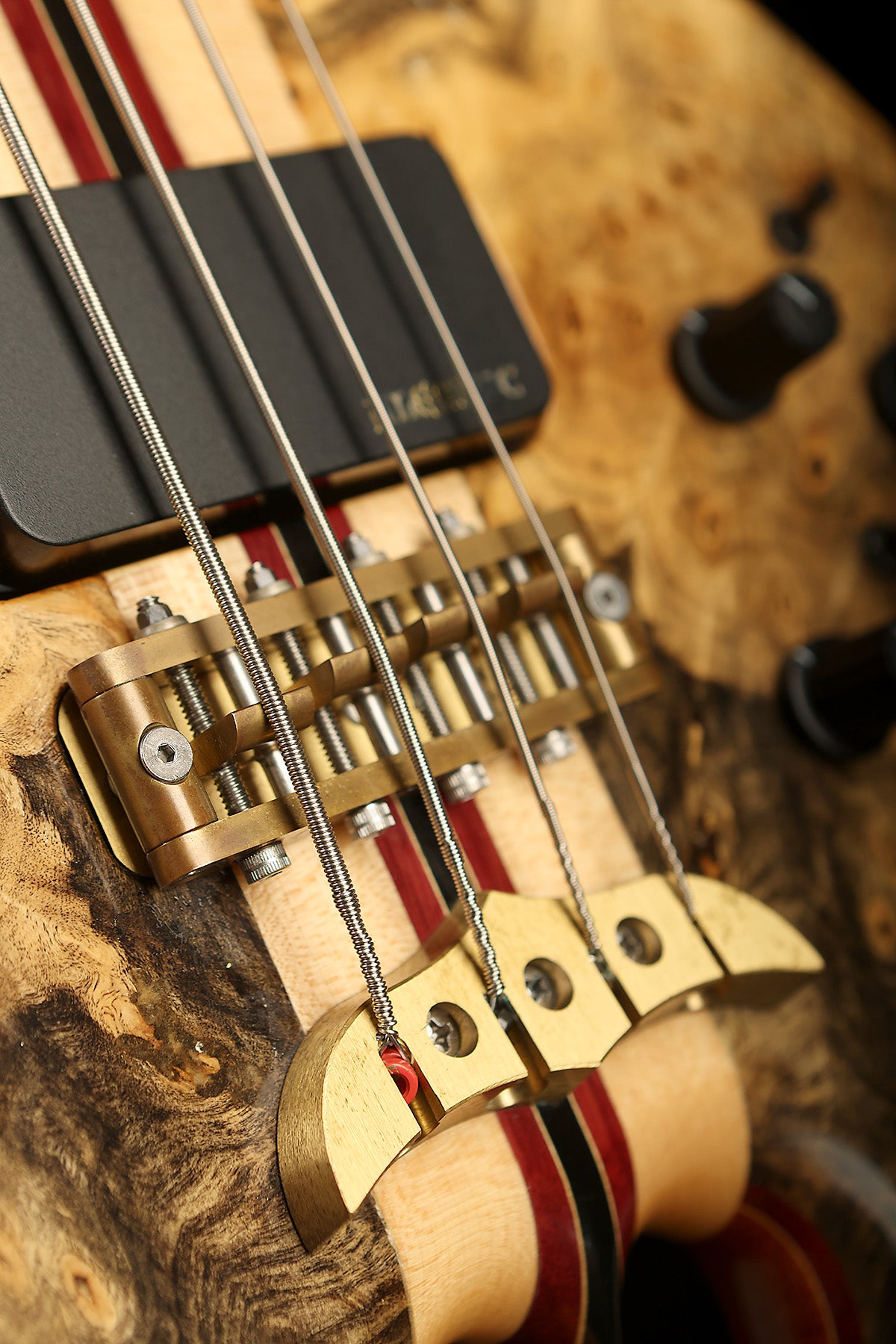 Preloved Alembic Mark King Signature Bass - Bass Centre Music Store Melbourne