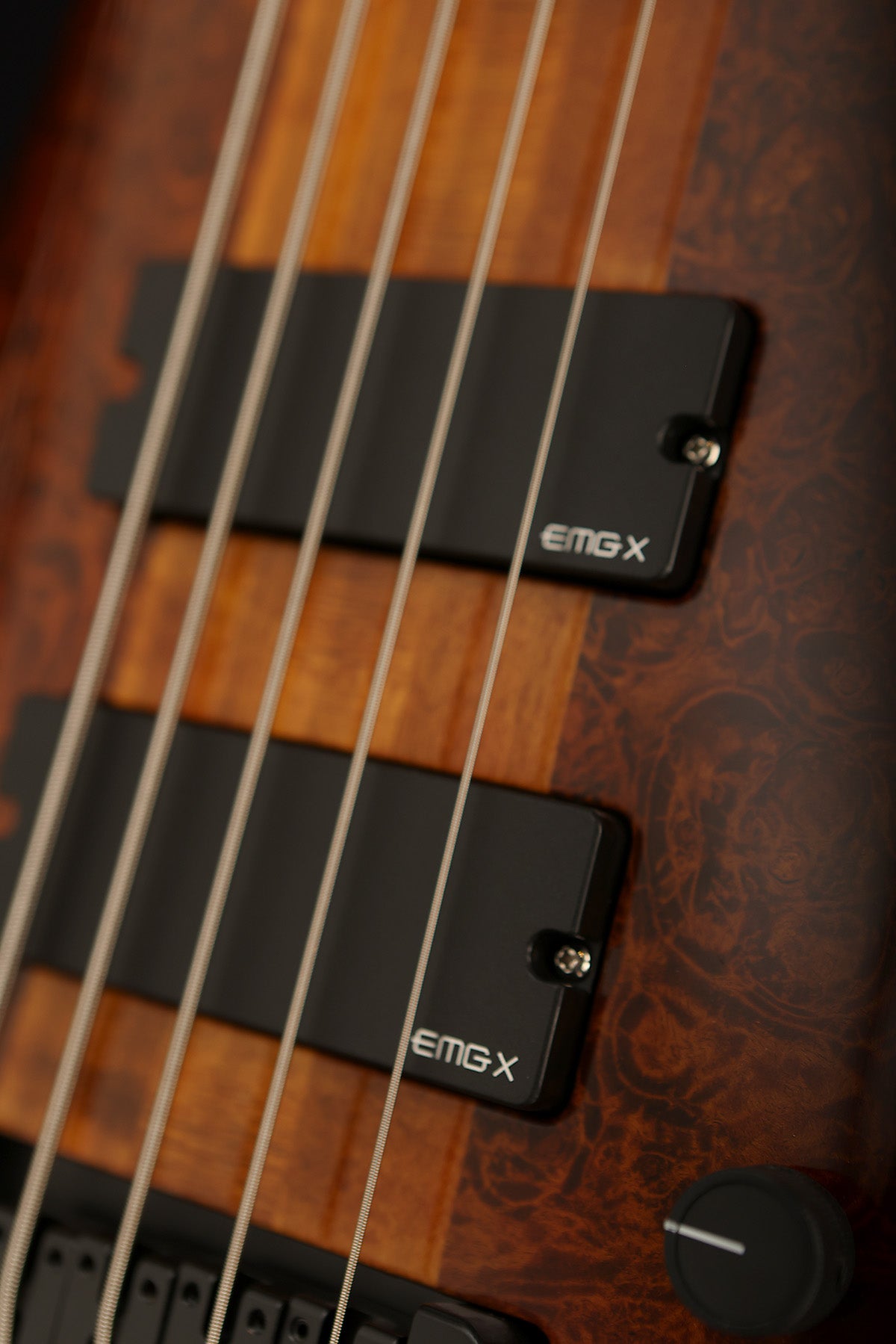 USA Spector NS5 Ales Inferno - Bass Centre Music Store Melbourne