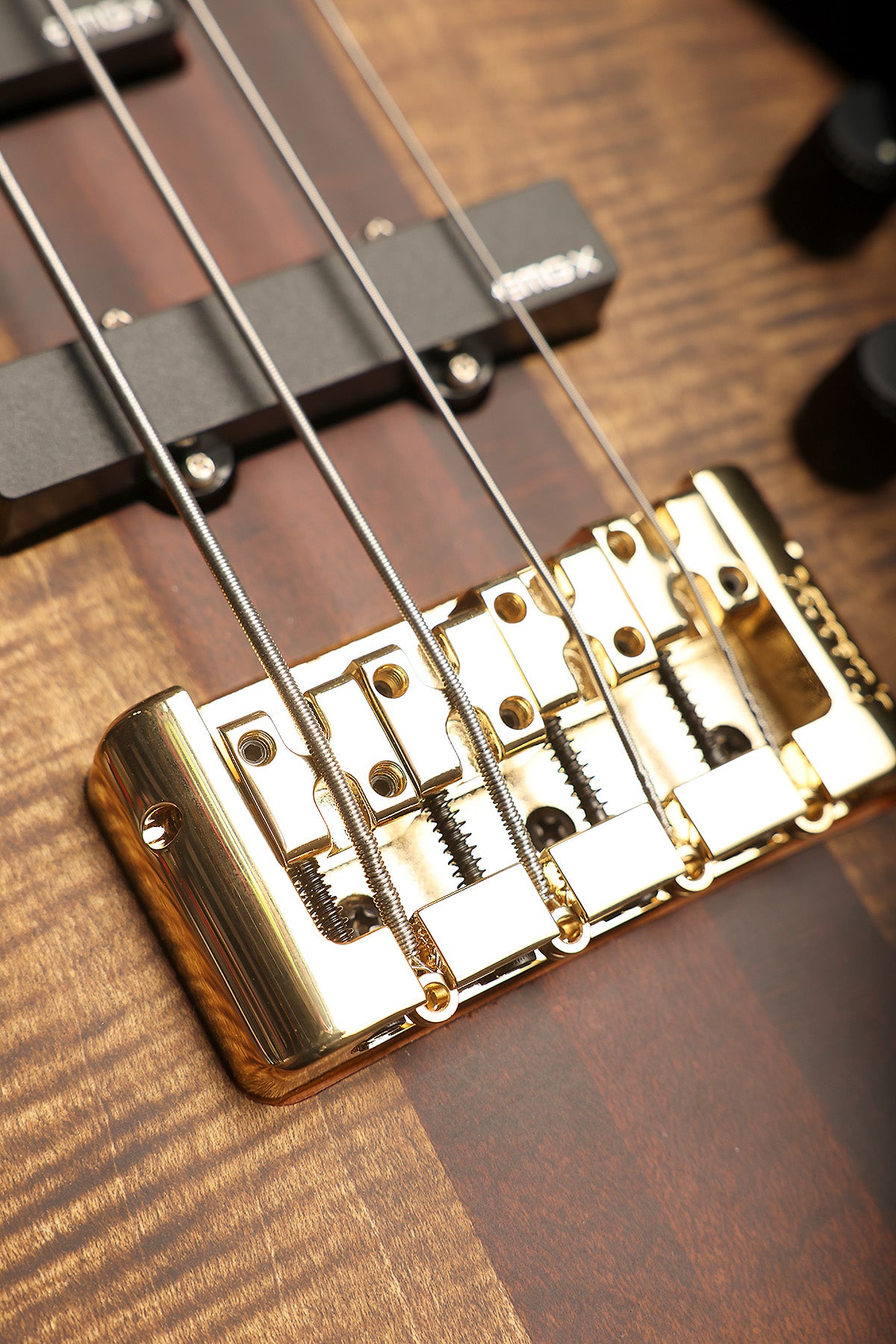 Spector Euro 4 Rex Brown Signature Bass