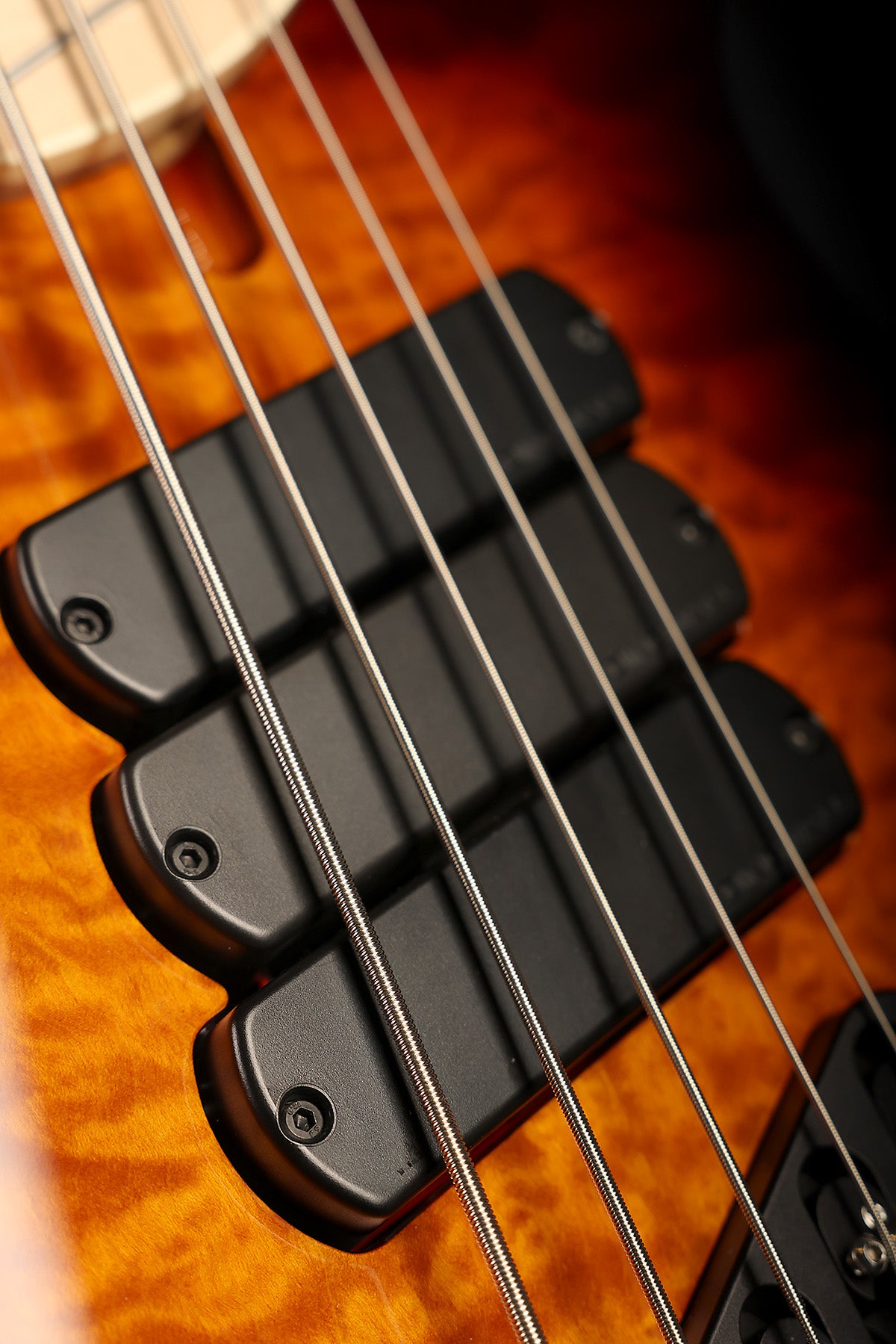 Dingwall Combustion 5 Quilt Top, 3X, Maple FB, Vintage Burst - Bass Centre Music Store Melbourne