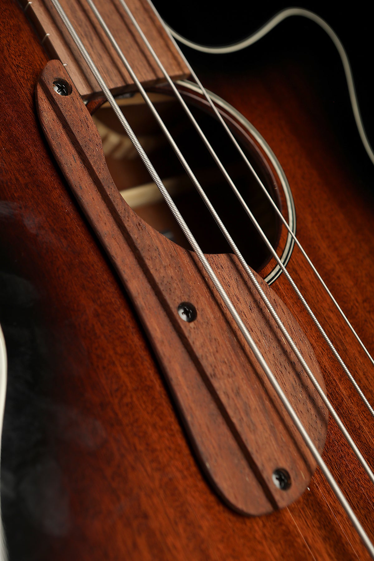 IBANEZ AEGB24FE Mahogany Sunburst Fretless Acoustic Bass - Bass Centre Music Store Melbourne