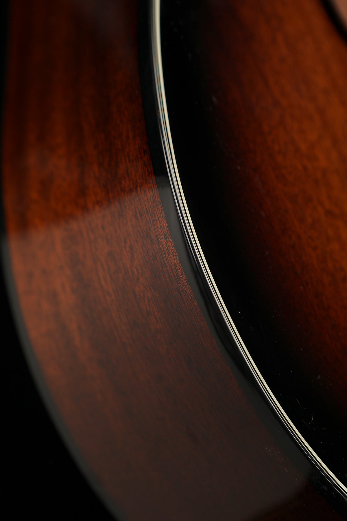 IBANEZ AEGB24FE Mahogany Sunburst Fretless Acoustic Bass - Bass Centre Music Store Melbourne