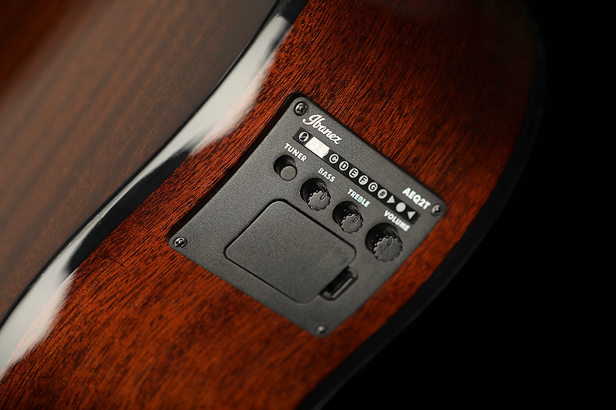 IBANEZ AEGB24FE Mahogany Sunburst Fretless Acoustic Bass - Bass Centre Music Store Melbourne