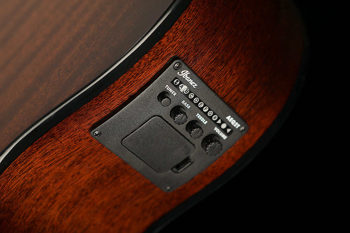 IBANEZ AEGB24FE Mahogany Sunburst Fretless Acoustic Bass - Bass Centre Music Store Melbourne