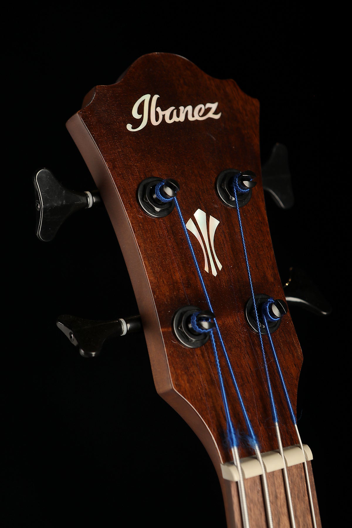 IBANEZ AEGB24FE Mahogany Sunburst Fretless Acoustic Bass - Bass Centre Music Store Melbourne