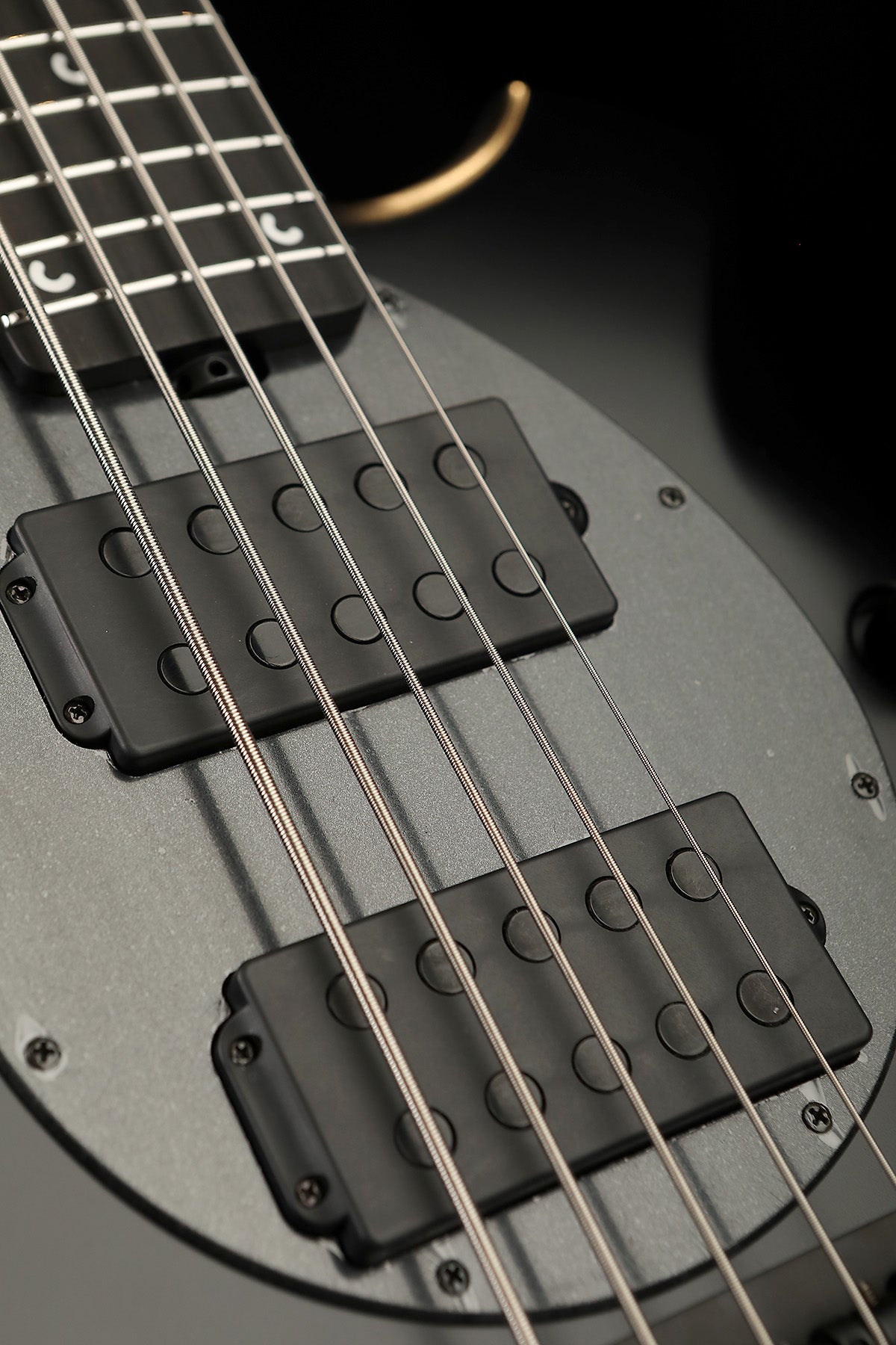 Ernie Ball Musicman Bongo 5 Stealth - Bass Centre Music Store Melbourne