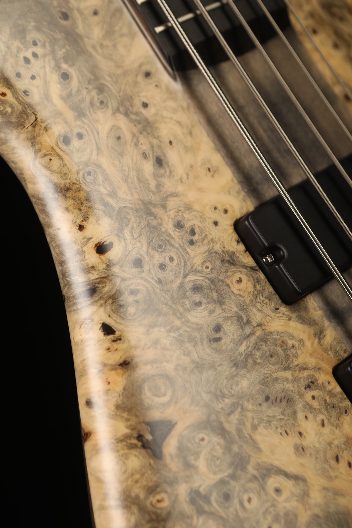 Spector USA Custom NS 5 Buckeye Burl Bass - Bass Centre Music Store Melbourne