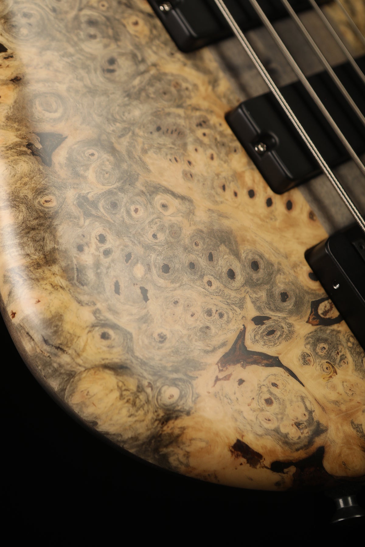 Spector USA Custom NS 5 Buckeye Burl Bass - Bass Centre Music Store Melbourne