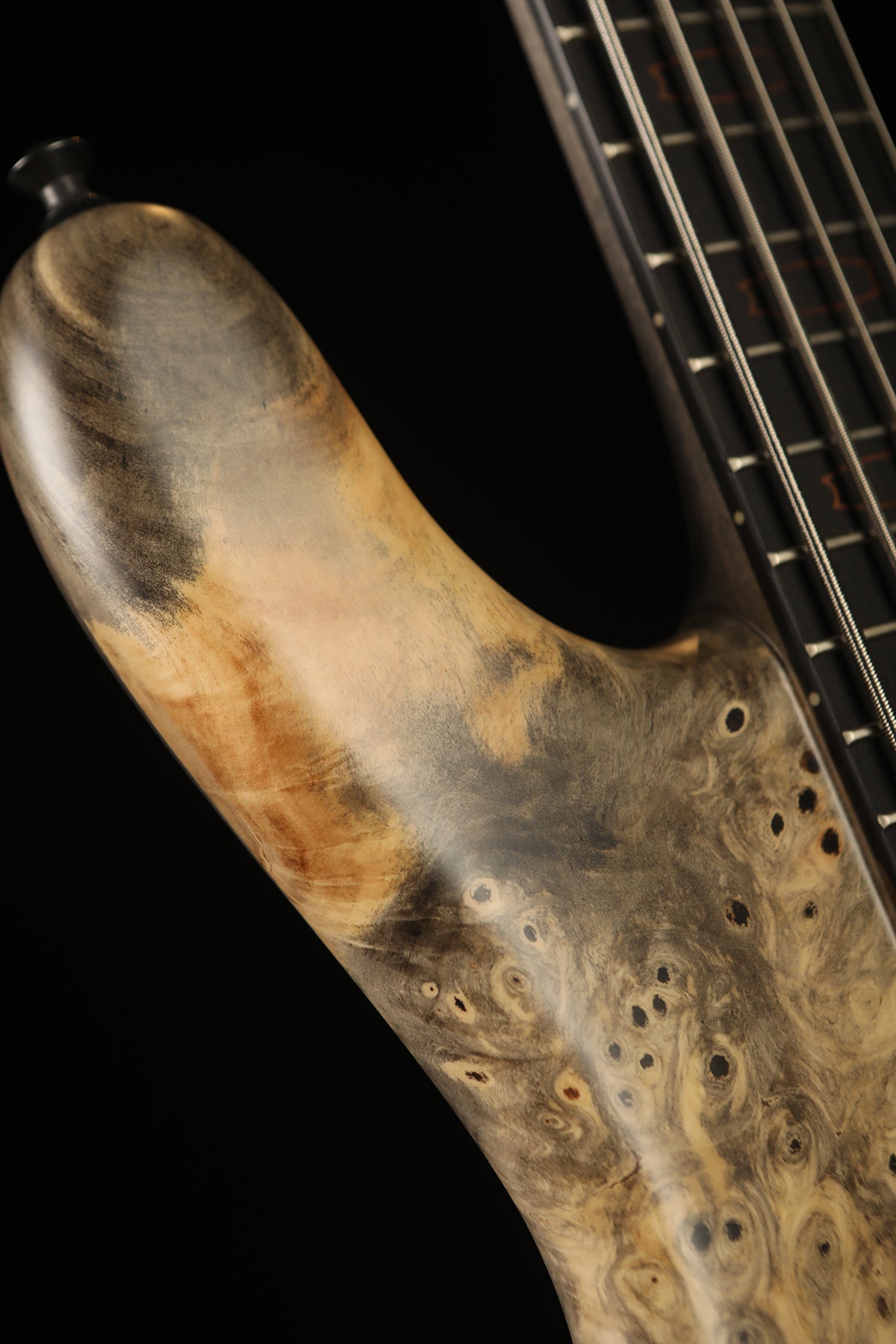 Spector USA Custom NS 5 Buckeye Burl Bass - Bass Centre Music Store Melbourne