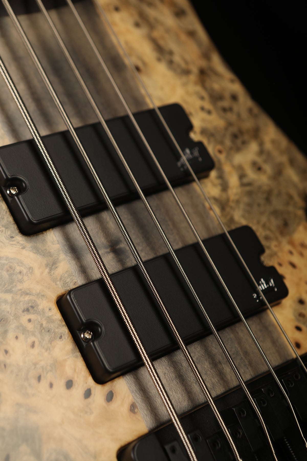 Spector USA Custom NS 5 Buckeye Burl Bass - Bass Centre Music Store Melbourne