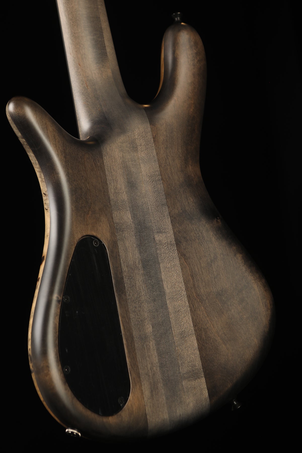 Spector USA Custom NS 5 Buckeye Burl Bass - Bass Centre Music Store Melbourne