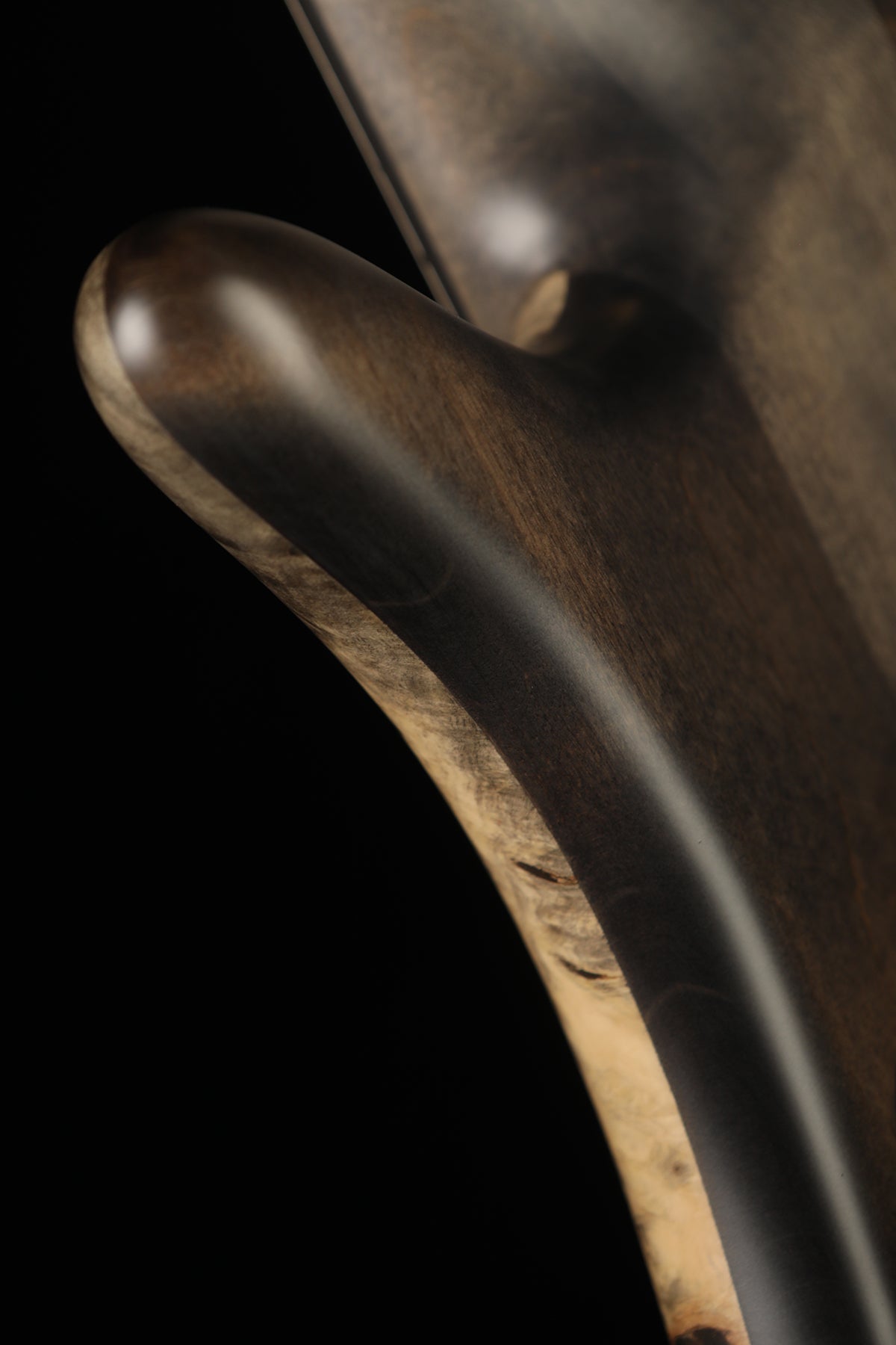 Spector USA Custom NS 5 Buckeye Burl Bass - Bass Centre Music Store Melbourne