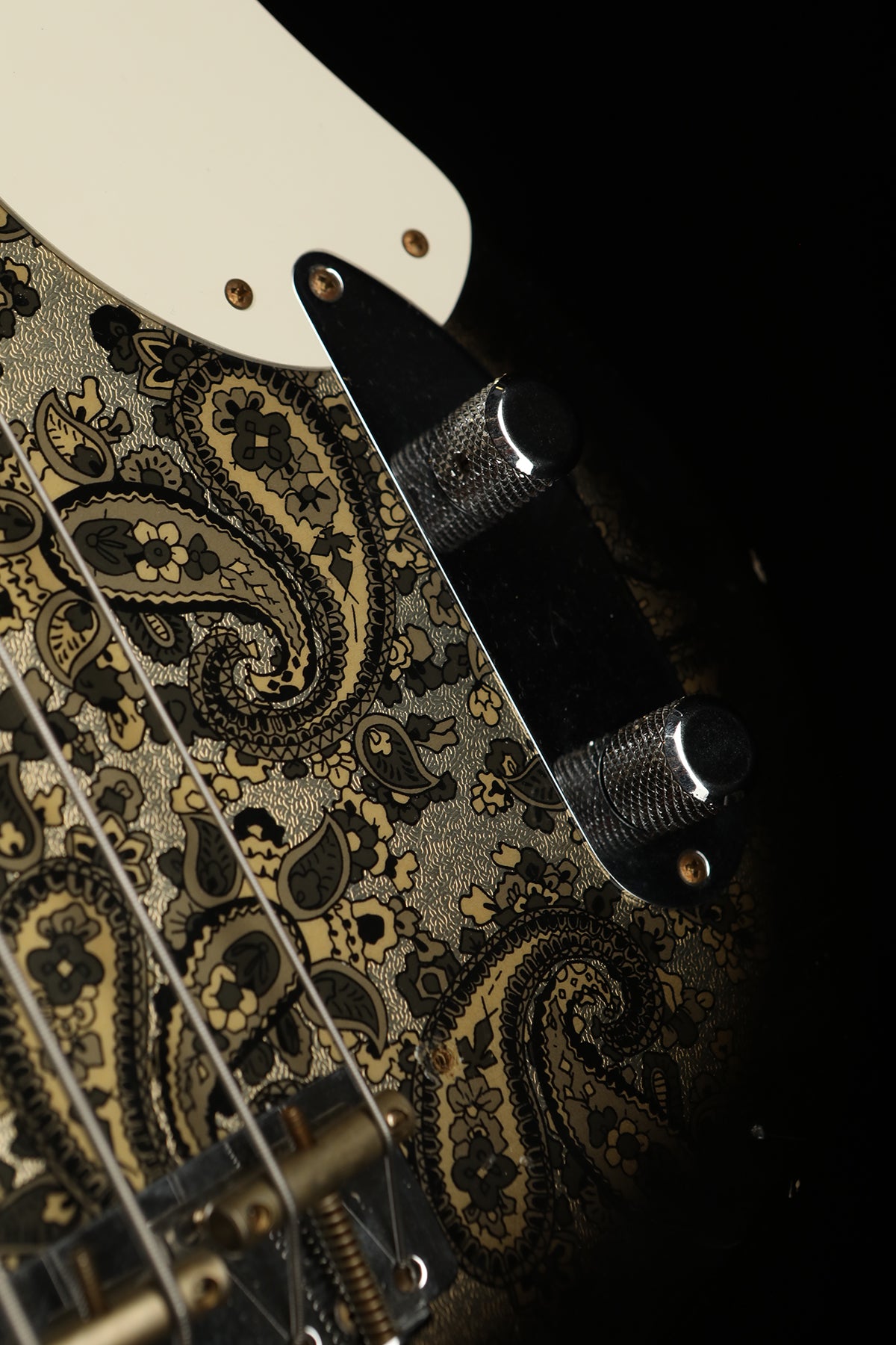 Fender Custom Shop Limited Edition &#39;54 Precision Bass® Journeyman Relic® Black Paisley - Bass Centre Music Store Melbourne