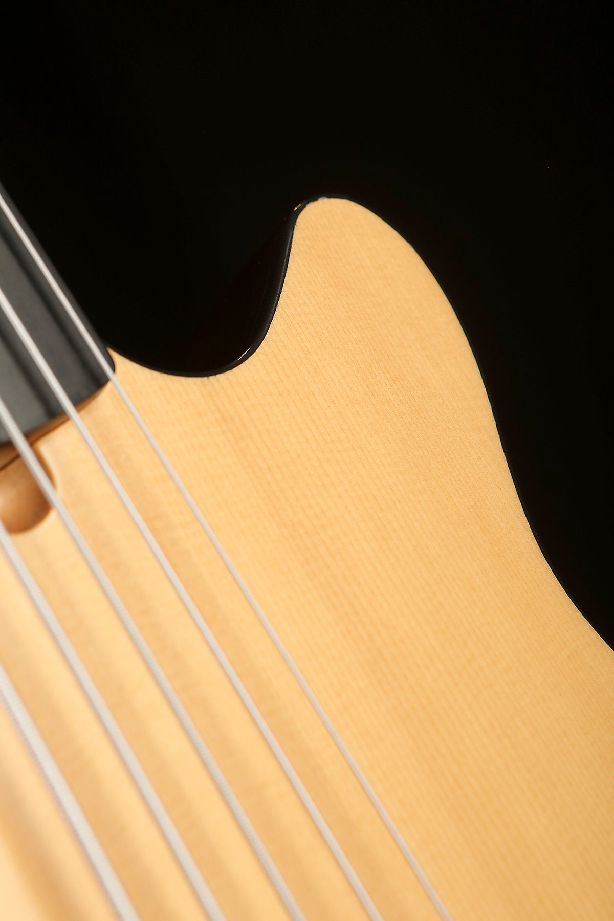 Preloved Godin A5 Fretless Multiac Bass - Bass Centre Music Store Melbourne