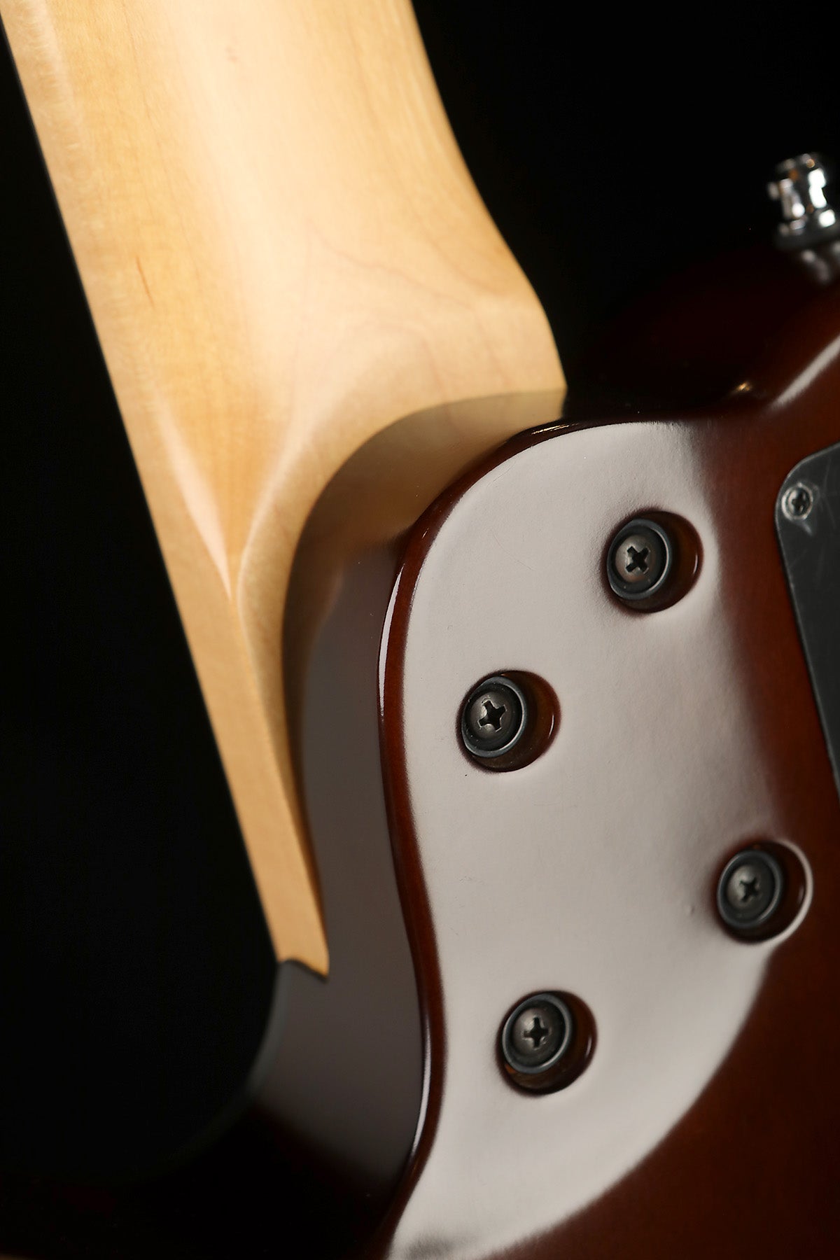 Preloved Godin A5 Fretless Multiac Bass - Bass Centre Music Store Melbourne