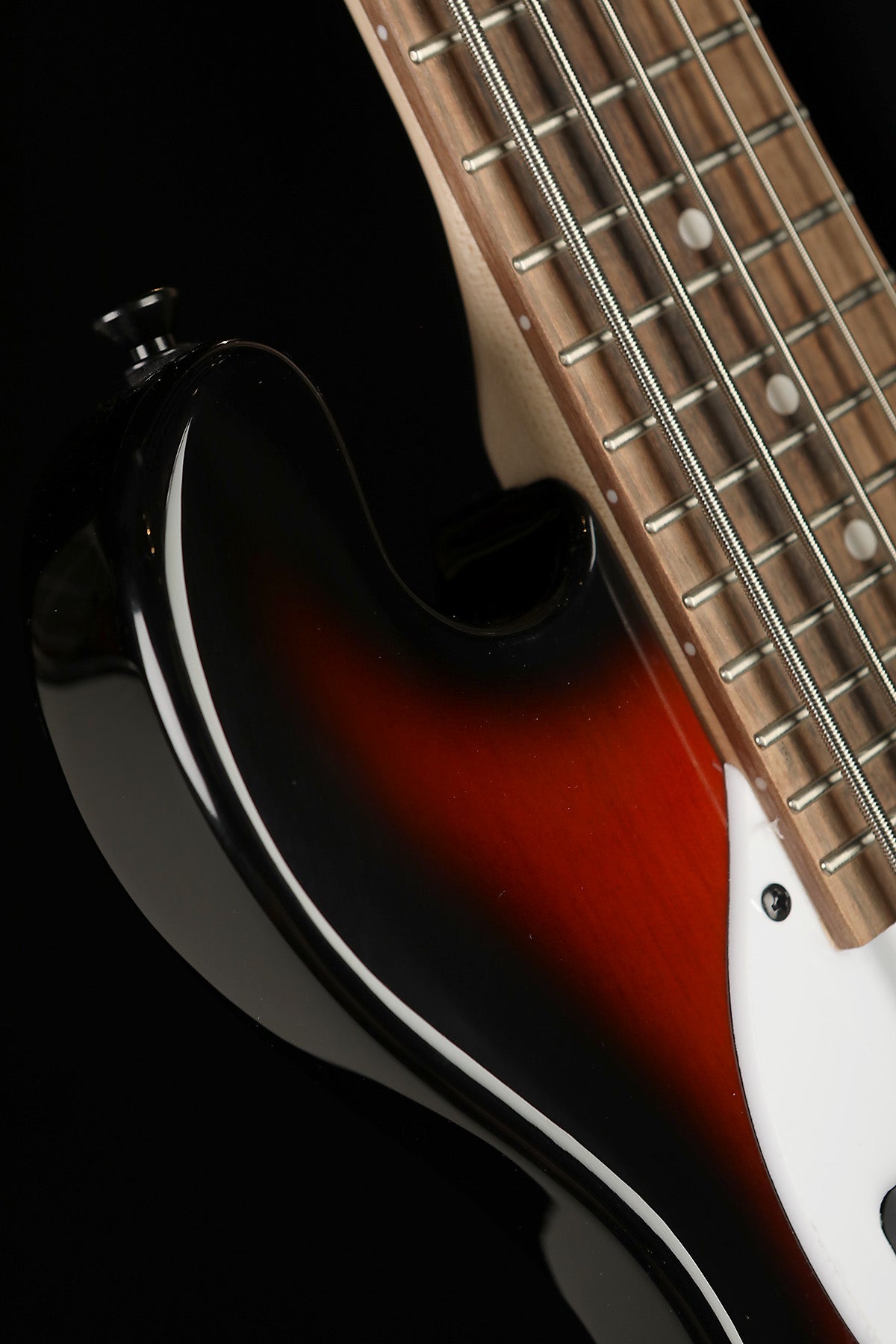 KALA SOLID BODY 5-STRING BASS WITH GIGBAG - Bass Centre Music Store Melbourne