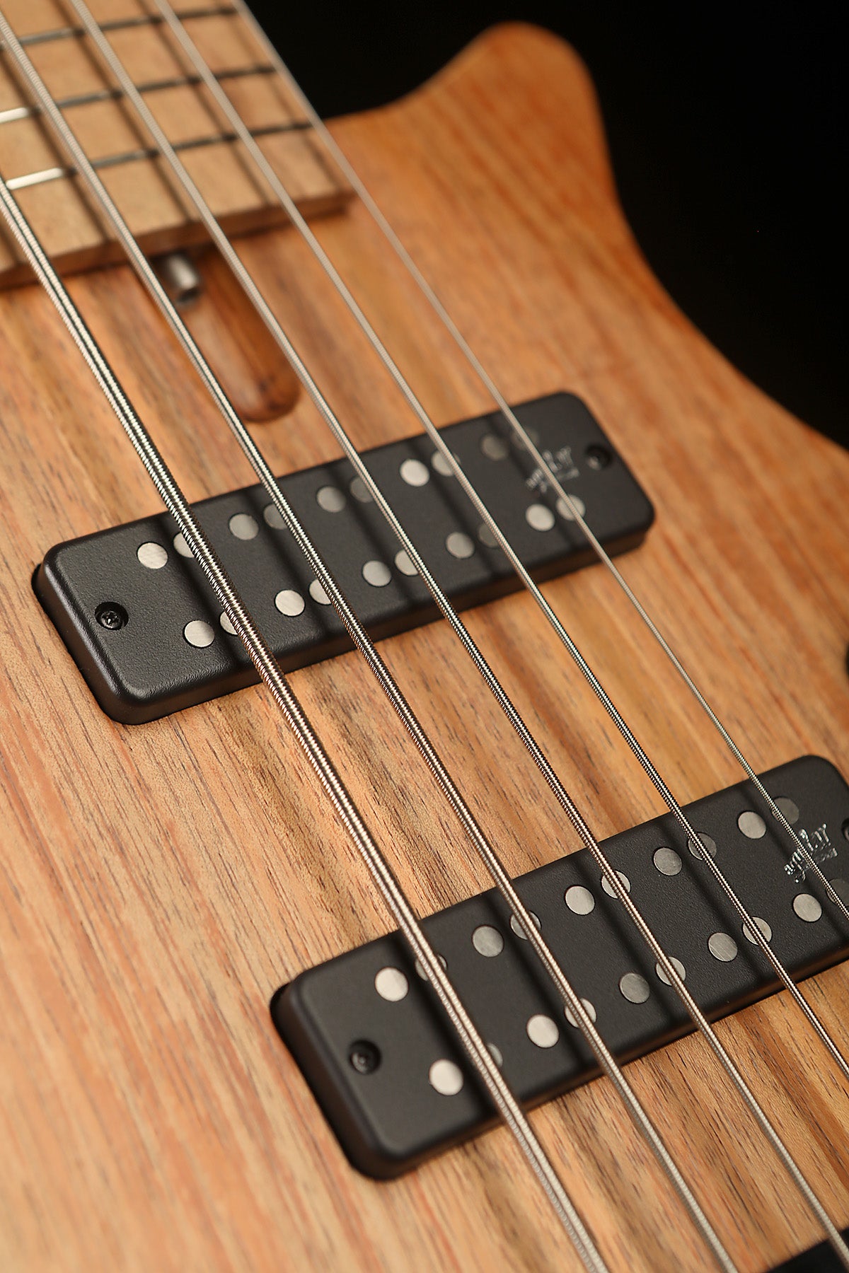 Cole Clark LL B5 Blackwood Top, She Oak Fretboard - Bass Centre Music Store Melbourne