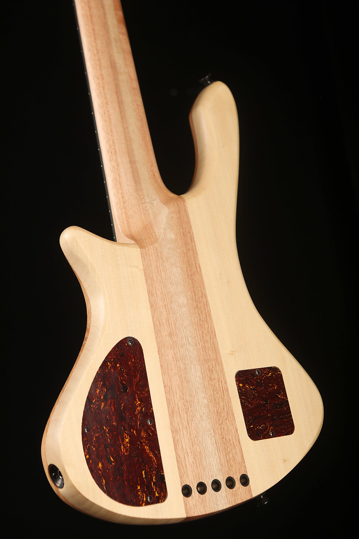 Cole Clark LL B5 Blackwood Top, Ebony - Bass Centre Music Store Melbourne