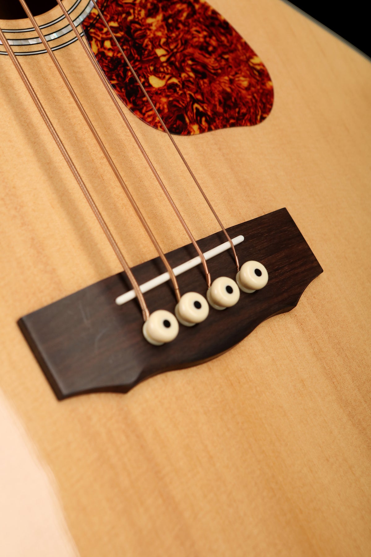 Guild B-140E Acoustic Bass - Bass Centre Music Store Melbourne