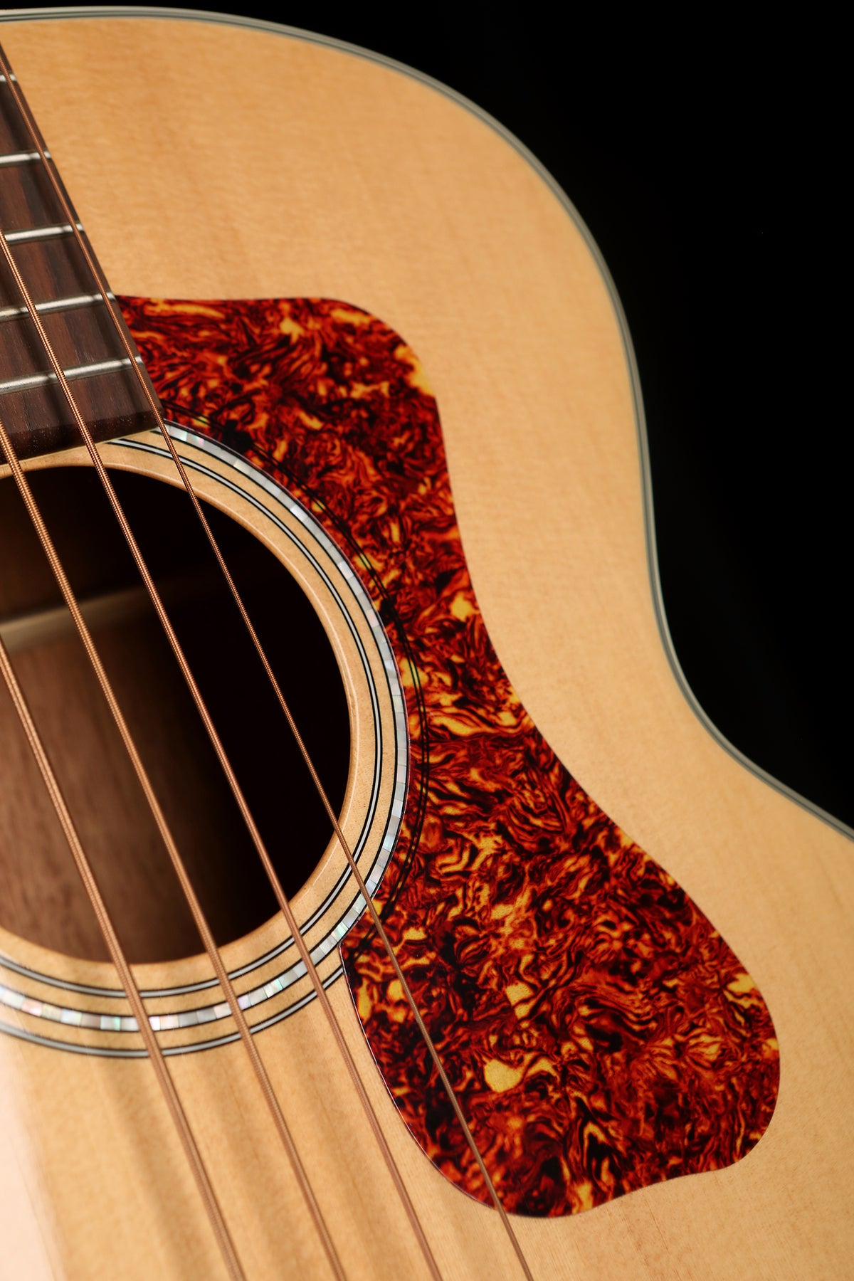 Guild B-140E Acoustic Bass - Bass Centre Music Store Melbourne