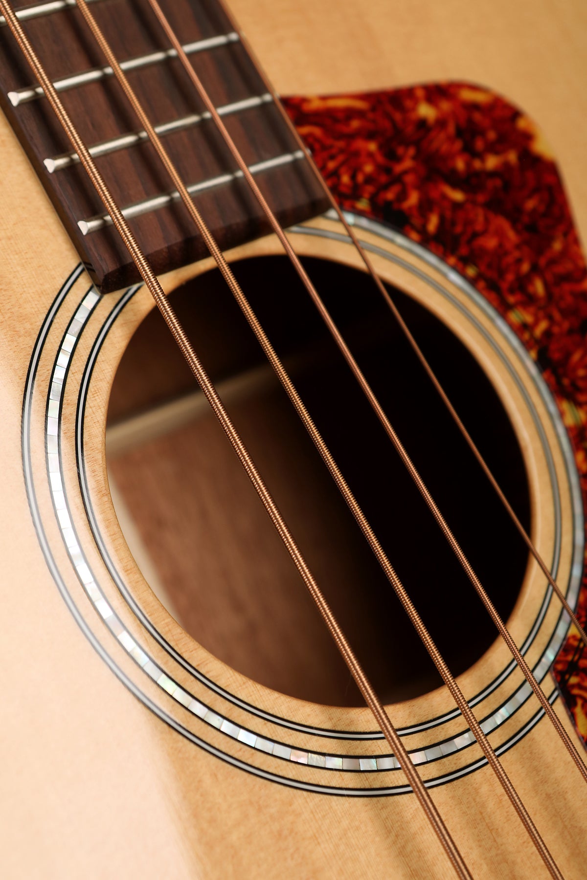 Guild B-140E Acoustic Bass - Bass Centre Music Store Melbourne