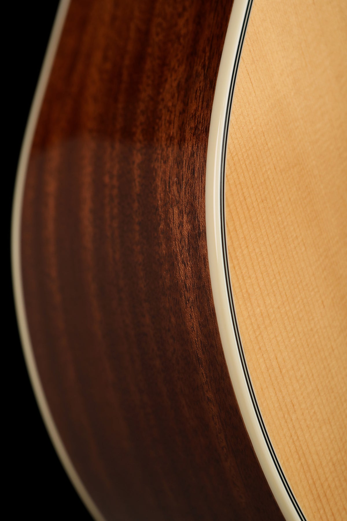 Guild B-140E Acoustic Bass - Bass Centre Music Store Melbourne