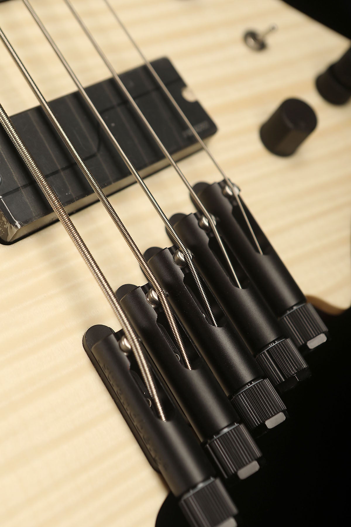 Strandberg Boden Bass Standard 5 String Bass - Bass Centre Music Store Melbourne