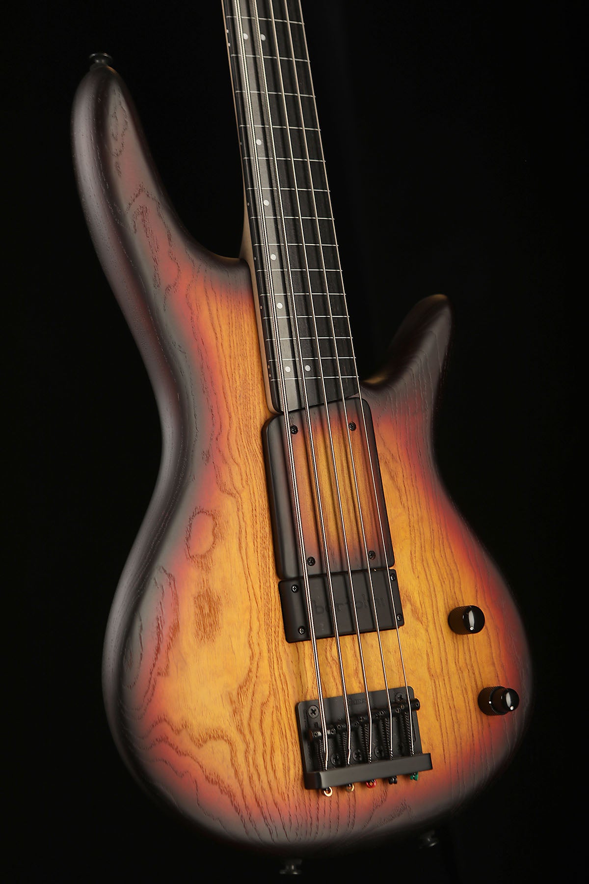 Ibanez GWB205TQF Gary Willis Signature Bass - Bass Centre Music Store Melbourne
