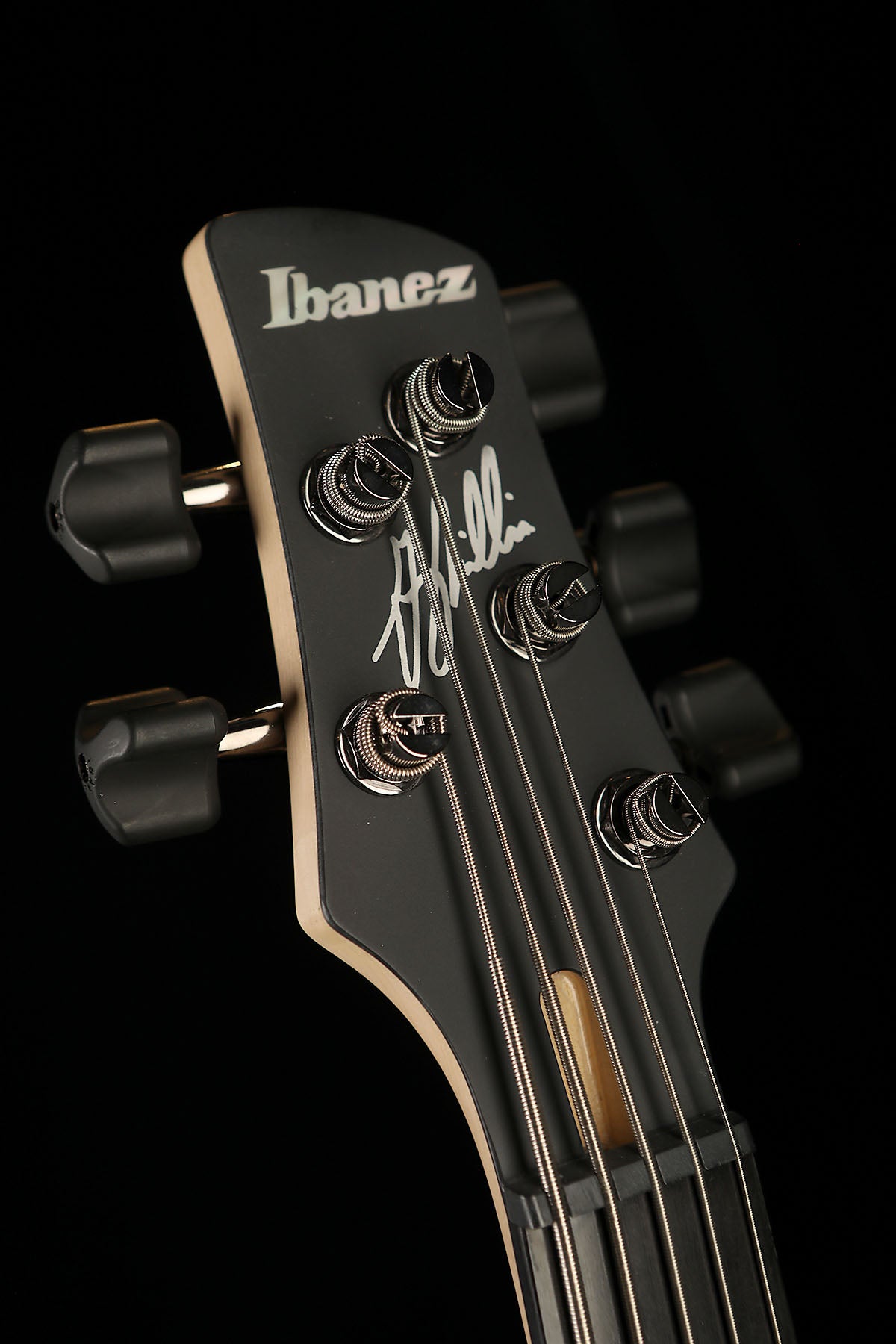 Ibanez GWB205TQF Gary Willis Signature Bass - Bass Centre Music Store Melbourne