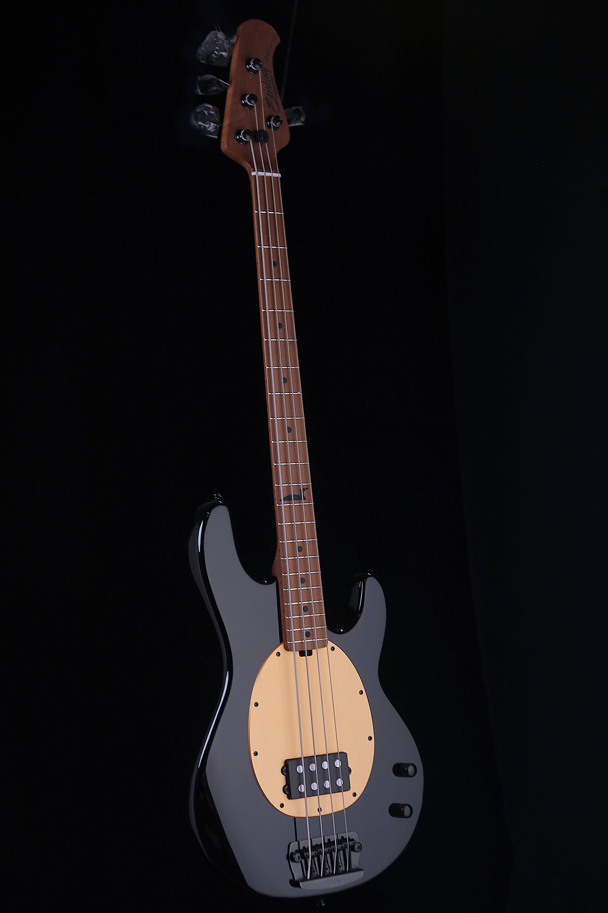 Sterling by Musicman Pete Wentz 4 String Bass Guitar - Bass Centre Music Store Melbourne